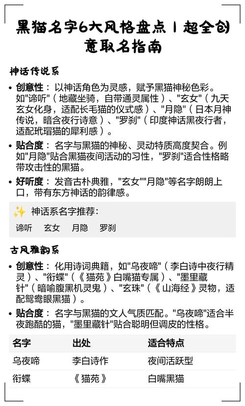 为什么小黑猫要取一个最好听的名字呢？