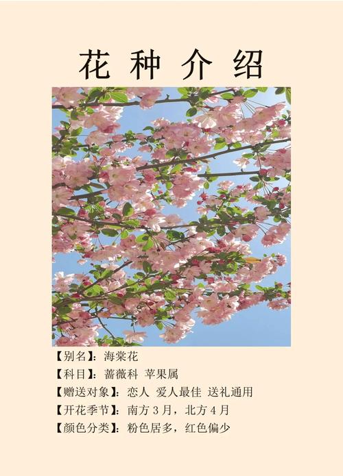 古代象征爱情的花是什么？它有哪些独特的寓意和象征意义？