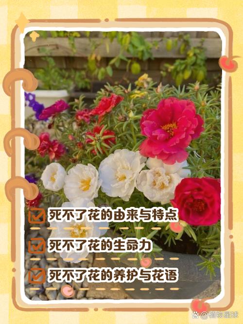 梦见花园被破坏了这预示着什么？花被毁坏有什么特殊含义吗？