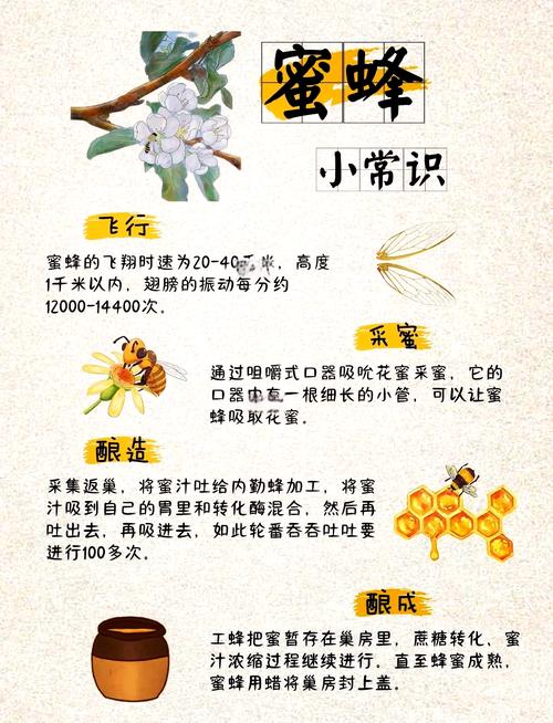 蜜蜂围绕人飞舞，是预示着吉祥还是有什么特殊含义呢？