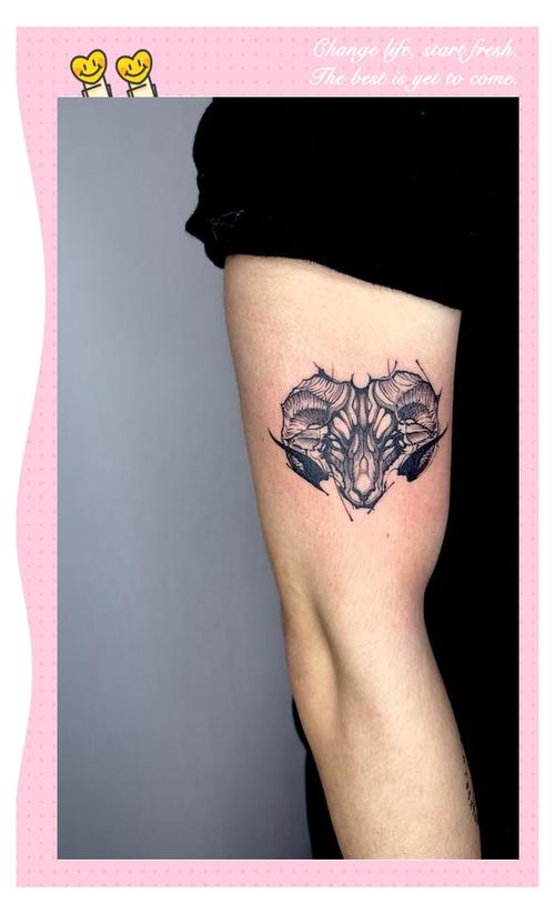 属羊的人纹个长尾羊图案合适吗？