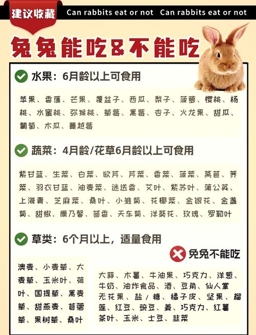 有什么食物相关的名字既萌又可爱，可以给兔兔取呢？