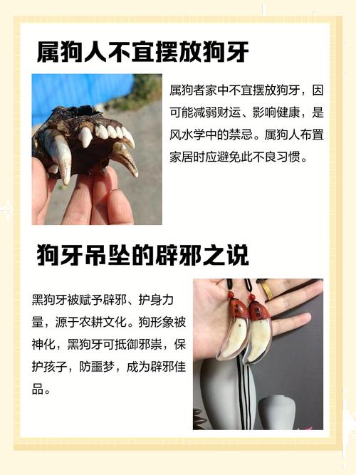 哪些属相佩戴狗牙有禁忌，是放在左边还是右边？