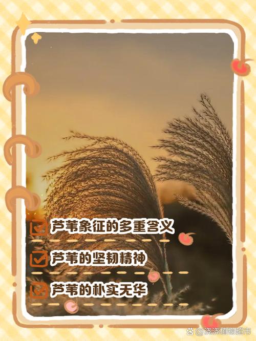 苇字取名寓意女孩大气，这样的名字美了三千年，有没有什么特别含义呢？