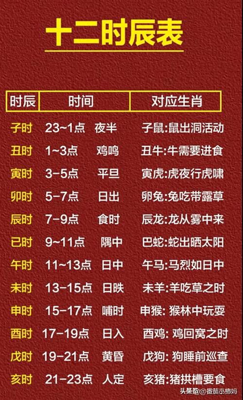 如何同过十二时辰生肖快速记忆法，高效记住十二生肖对应关系？