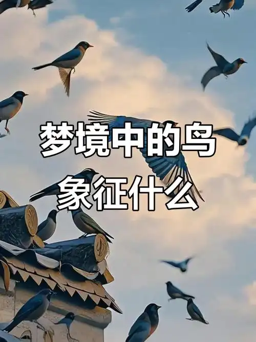 梦见鸟儿开口说话，周公解梦有何预兆？