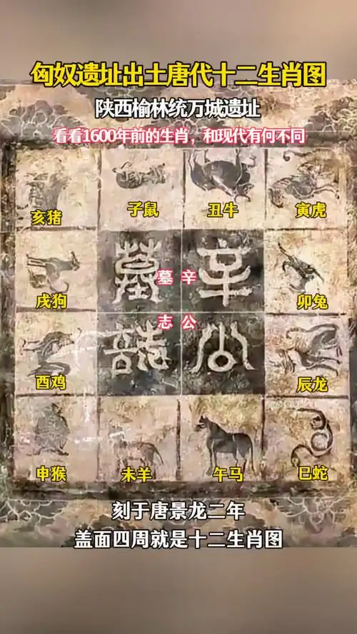唐字作为生肖，它代表的是哪个生肖动物呢？