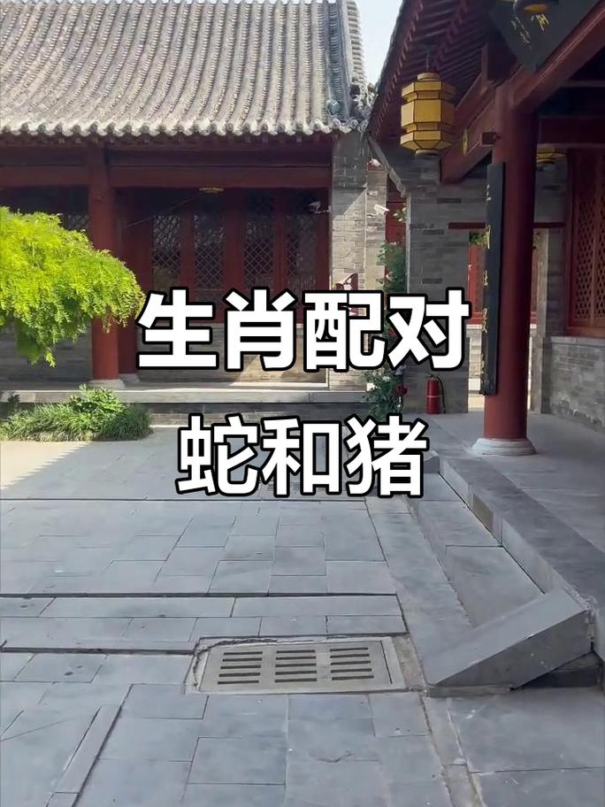 属蛇下属与属猪上司合作在事业上是否相得益彰？