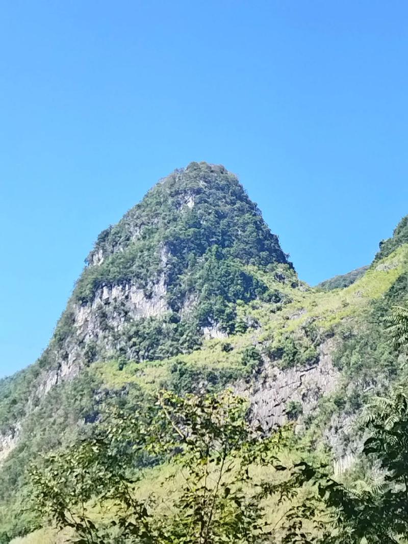 广东湛江第一风水宝地吴川犀牛望月风水留题，究竟有何独特之处？