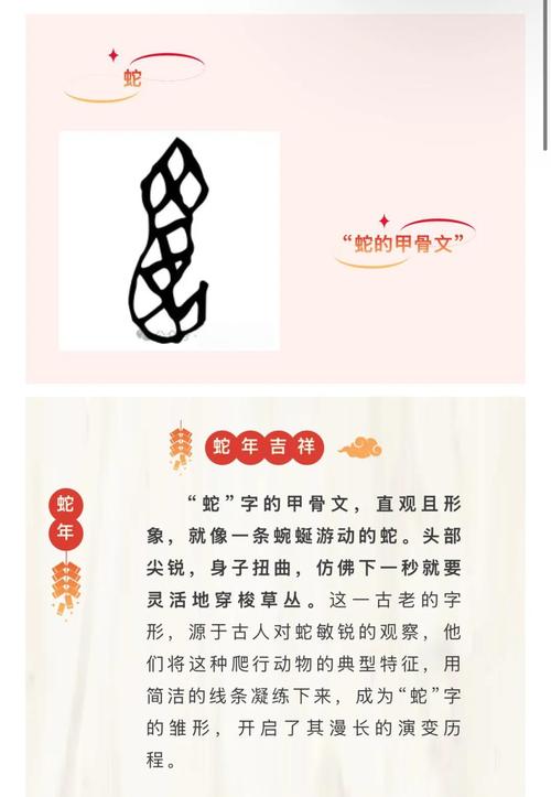 蛇为何成为十二生肖之一，其历史渊源和象征意义究竟何在？