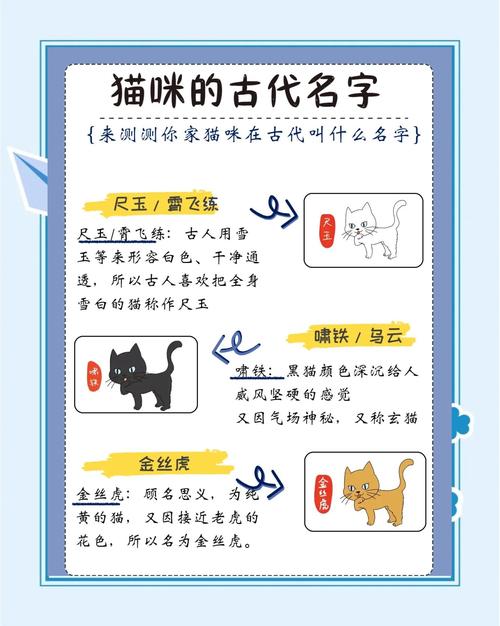 有没有什么好听又洋气的名字可以给公猫取？