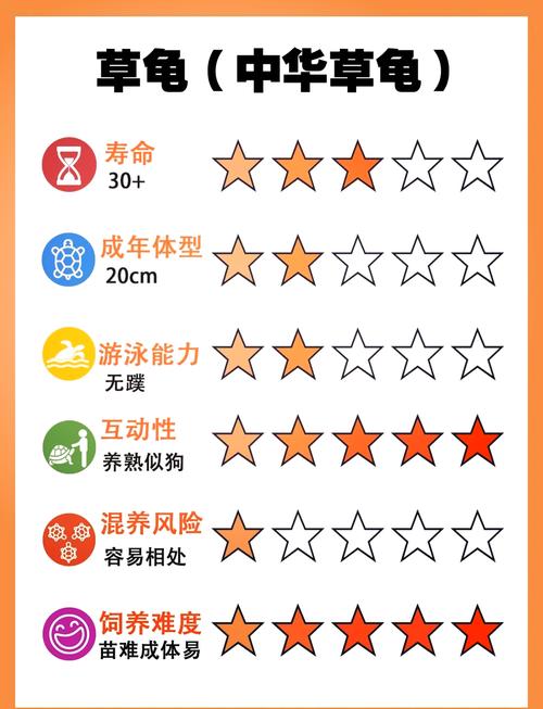 为什么养龟时不嫩选择双数数量的龟？这背后有什么忒别的讲究吗？