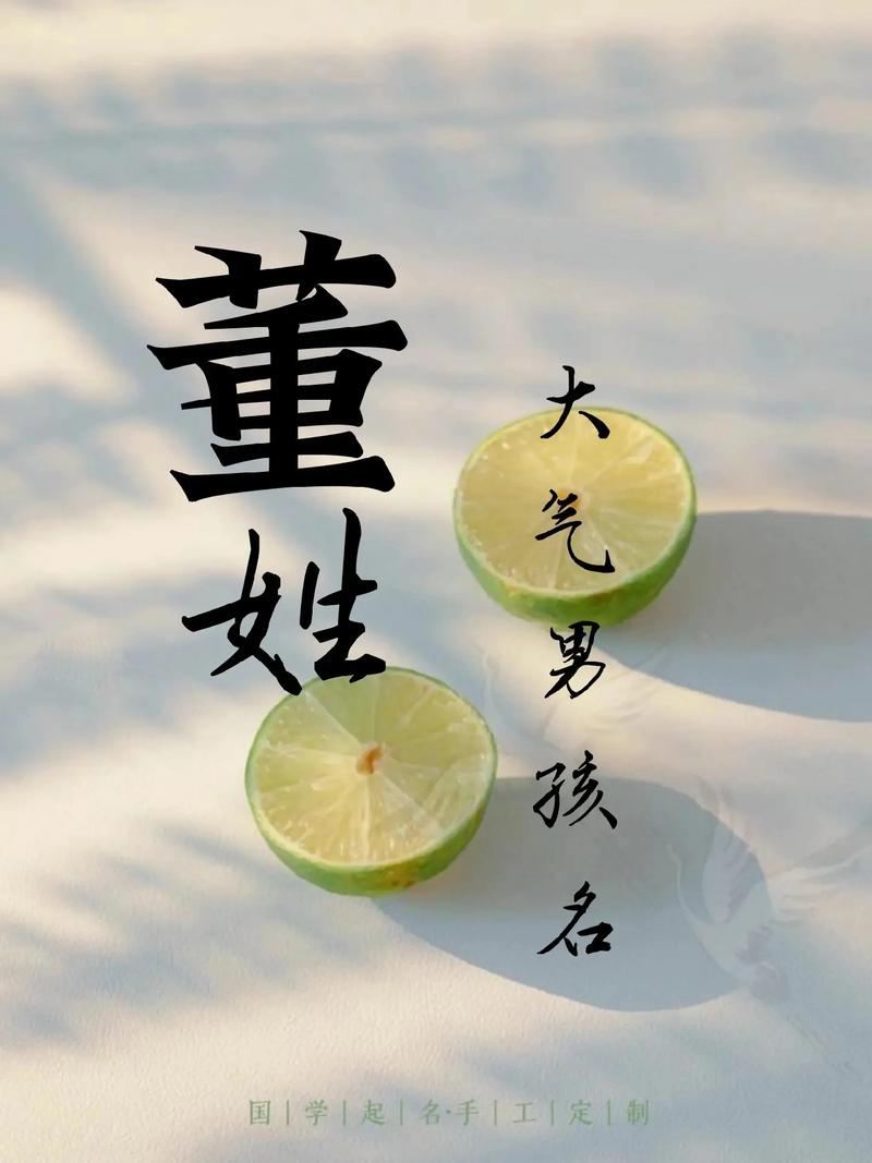 董姓男孩起个既好听又时尚的名字有什么推荐？