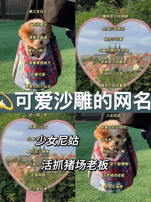 有没有人用过这种高级又沙雕的昵称，比如‘宇宙无敌小可爱’？