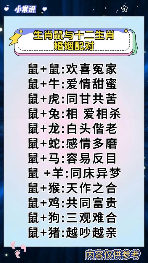 属鼠的与哪些属相最配或相克，能否组成和谐的？