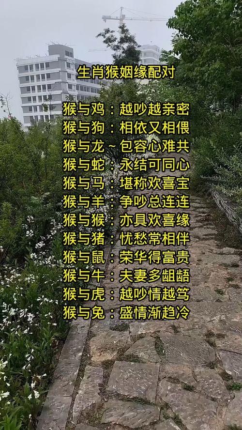 属猴的人最适合和哪个属相搭配，能带来大富大贵的命运呢？