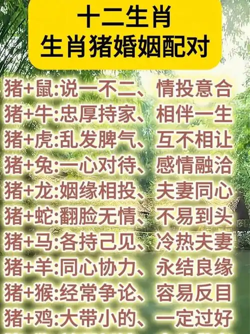 如何与属猪老公和谐相处？避免哪些相处禁忌？
