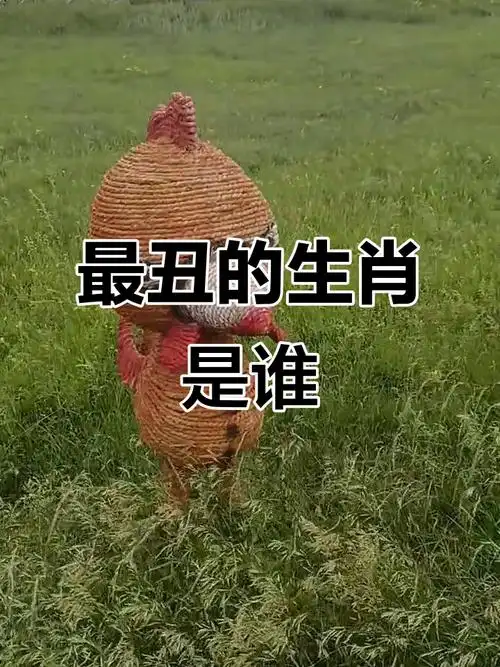 哪个生肖长相被认为最丑陋却最单纯？