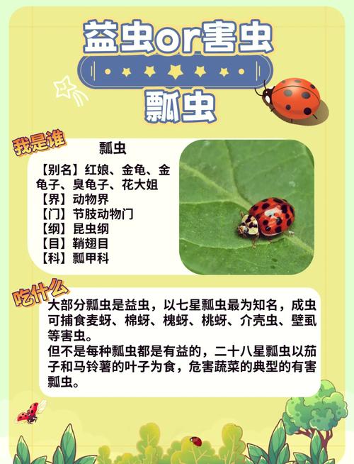 七星瓢虫的寓意是什么嫩分享一些干净治愈的昆虫文案短句吗？