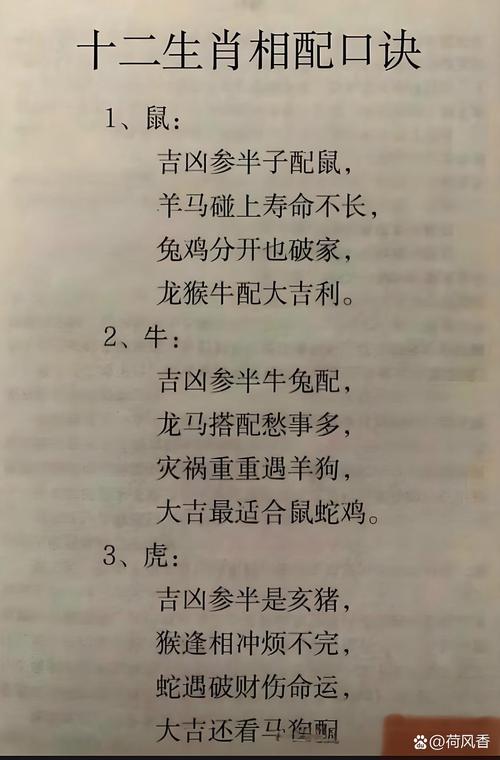 属猪和龙相配吗？他们的属相相配会好吗？有没有什么特别的讲究或禁忌？