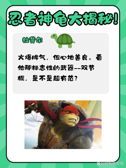 忍者神龟各自叫什么名字呢？