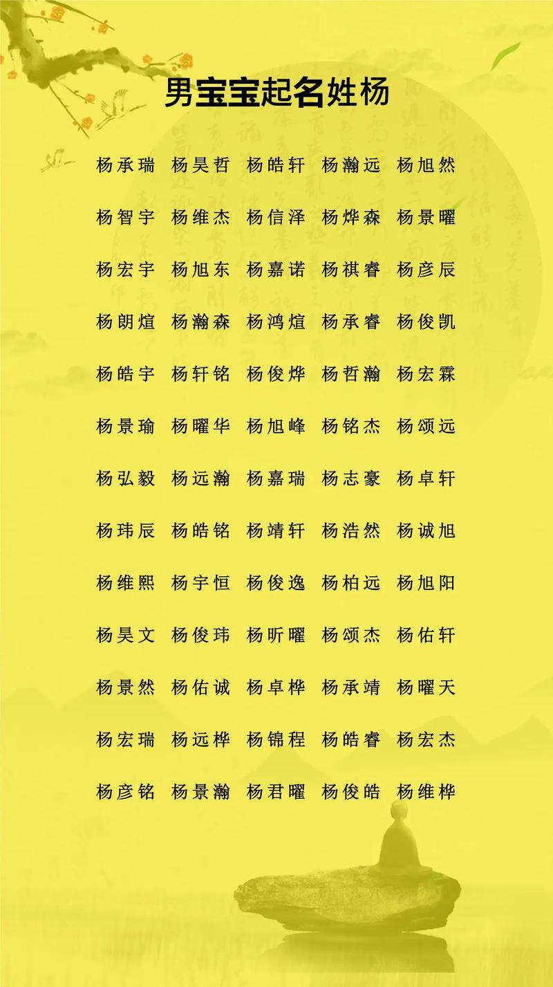 杨姓豪爽大气男孩名字美名腾有更好的长尾推荐吗？