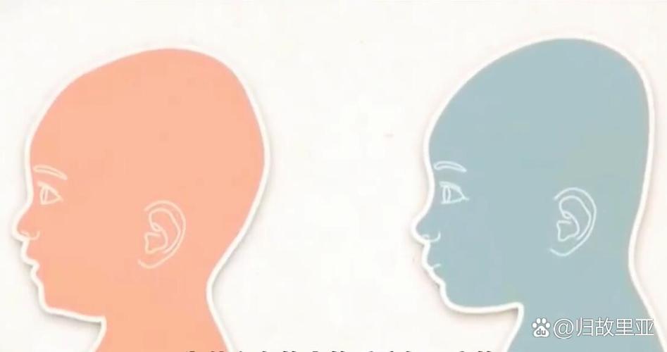 后脑勺平坦的人智商真的会比其他人低吗？