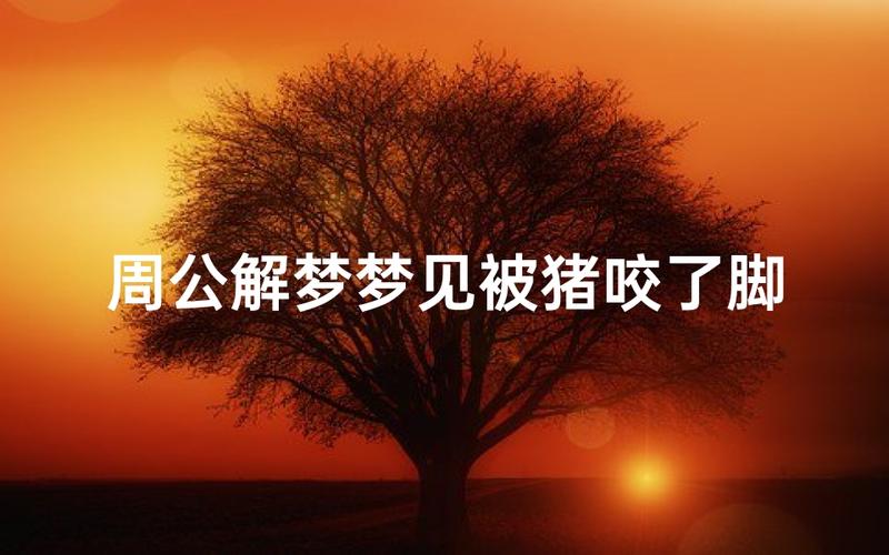 梦见被猪咬脚预示着什么吉凶？是好运还是不祥之兆？