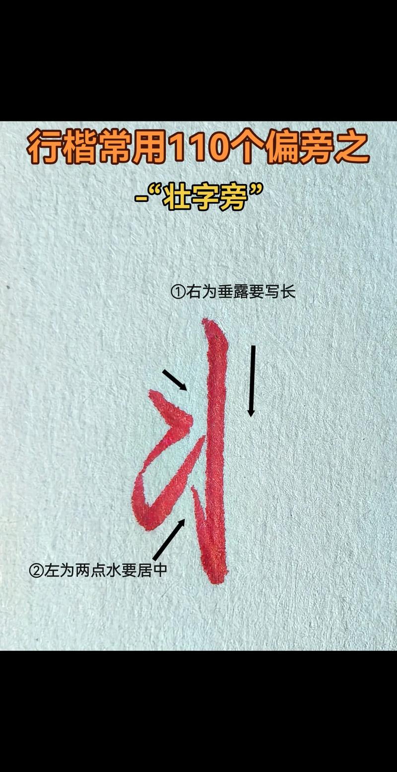 壮字偏旁叫什么名字，它的拼音怎么读？