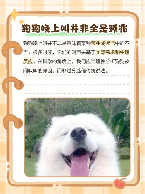 梦见狗叫在午休时是什么寓意，周公解梦如何解释？