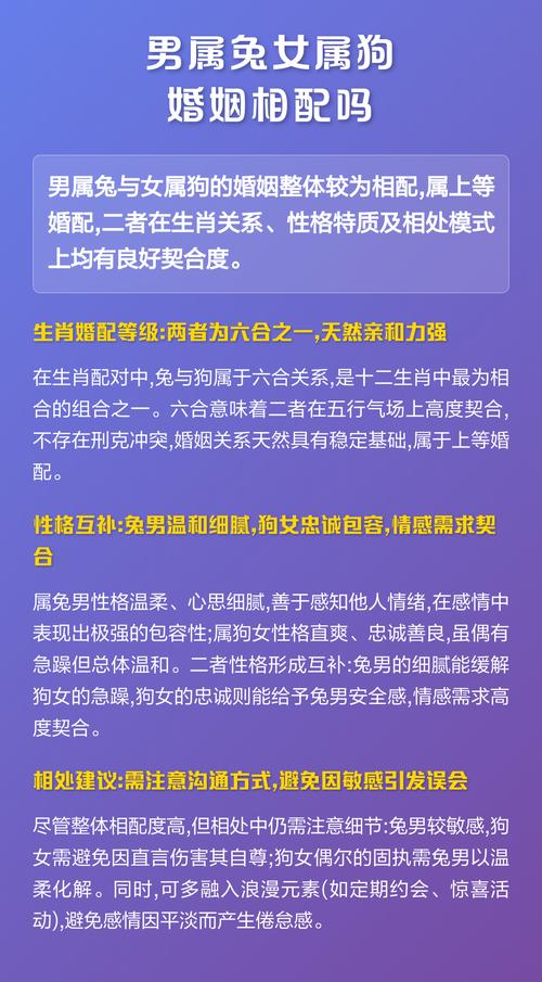属狗和属兔的夫妻财运如何，适合做伴侣吗？