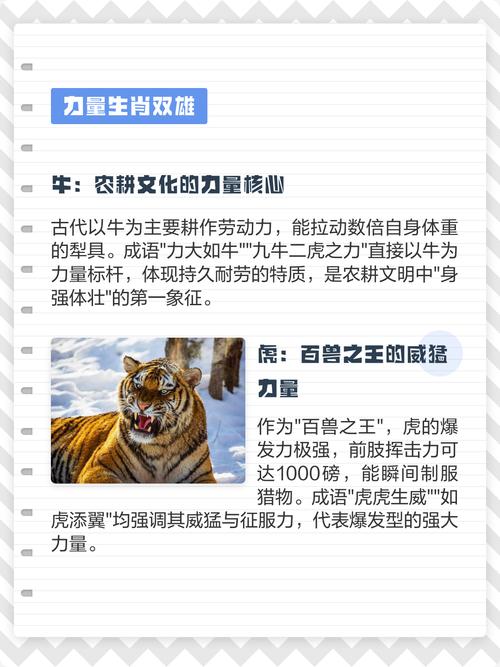 哪个生肖代表身强体壮，被认为是最佳选择？