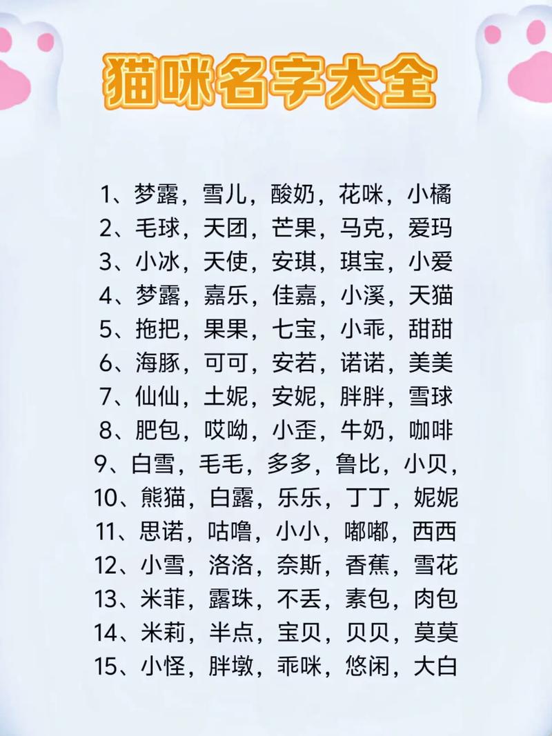 00后给宠物取什么名字既时尚又可爱呢？