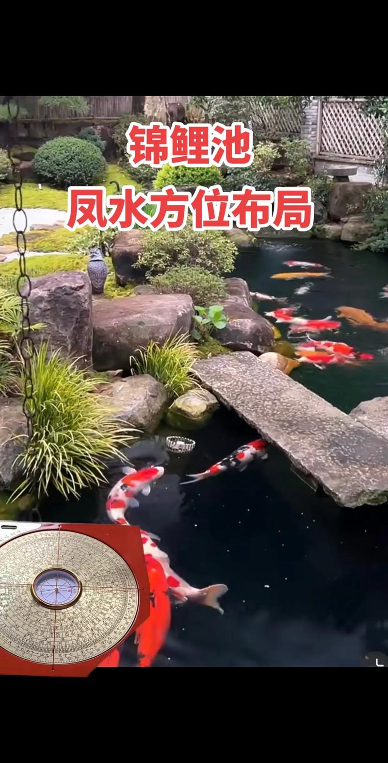 家居风水西南方位适合养鱼吗？