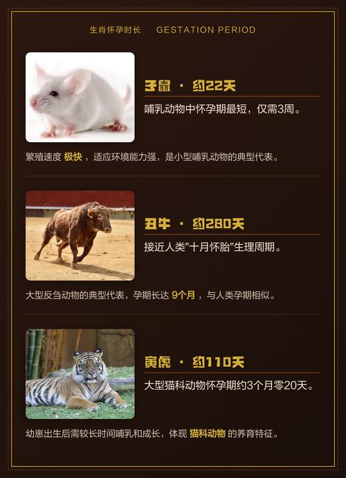2021年喜孕的生肖是哪个？