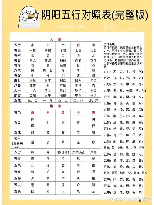 扯字五行属性是什么？其含义与五行之间有何关联？