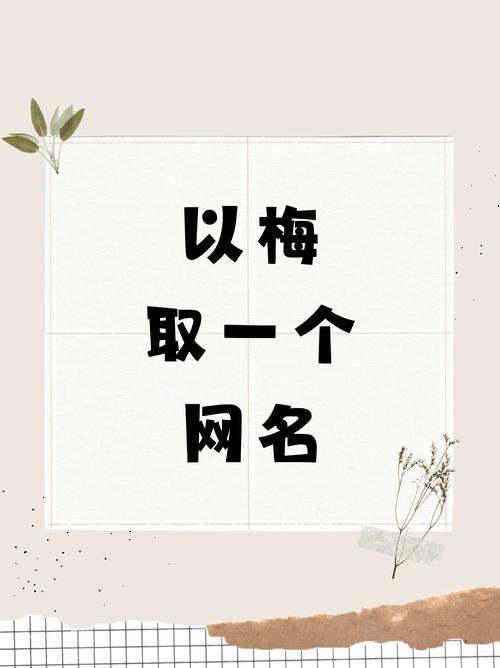 取带梅字的洋气好听寓意好的女孩名字有哪些推荐？