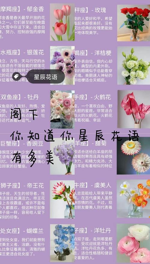 哪些星座的花是什么花？分别有什么寓意？