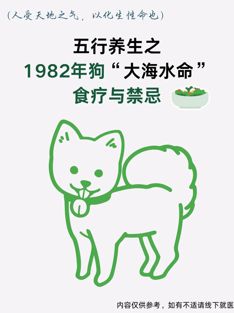 1982年属狗水命的人五行缺什么有哪些忌讳？