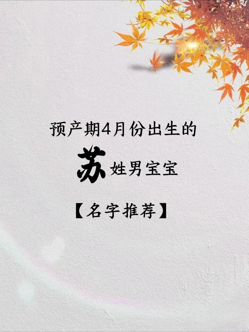 苏姓好听的男孩名字有哪些寓意深刻的推荐？