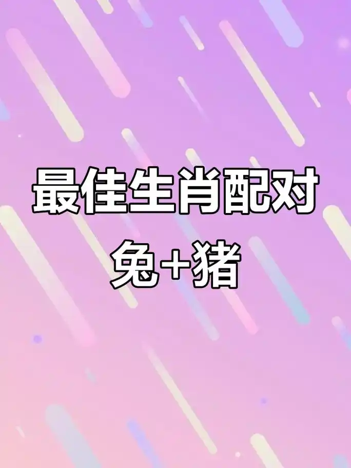 猪和兔做夫妻，他们的运势和未来发展会如何？