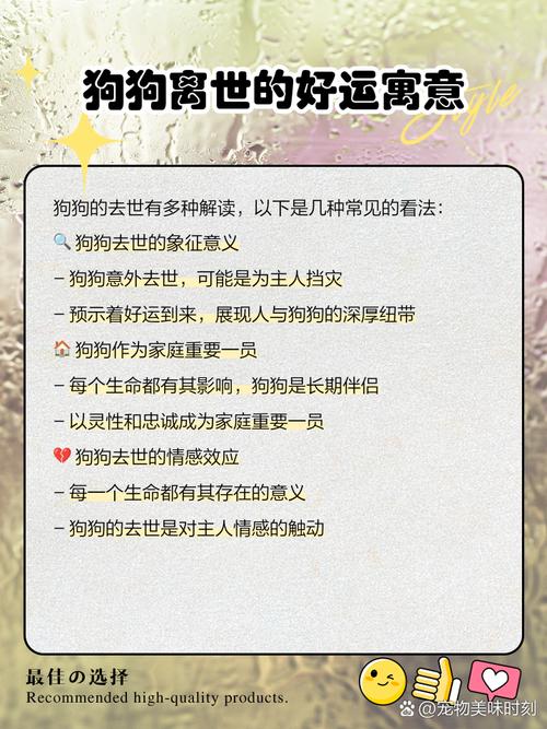 小狗失而复得预示着什么好运即将降临？
