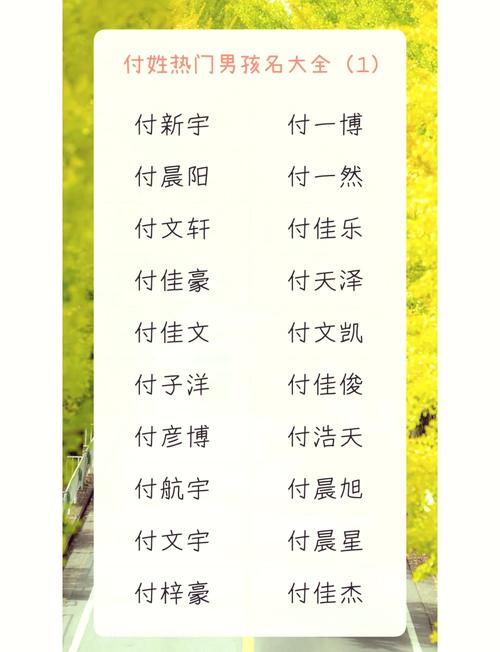 2022年付姓男孩起名带昊，有没有内涵的名字推荐？