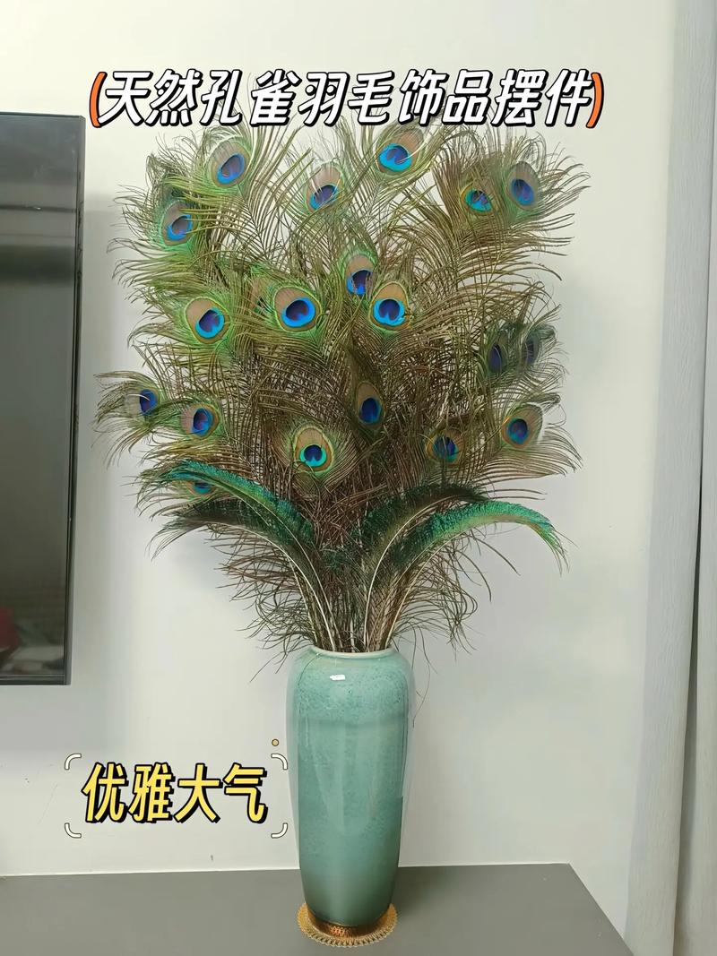 家里摆放孔雀羽毛，究竟有何特殊寓意？