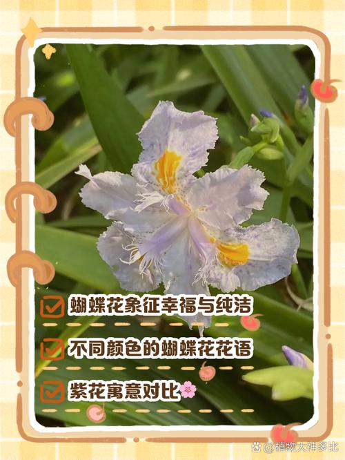 梦见鲜花和蝴蝶分别代表什么含义？