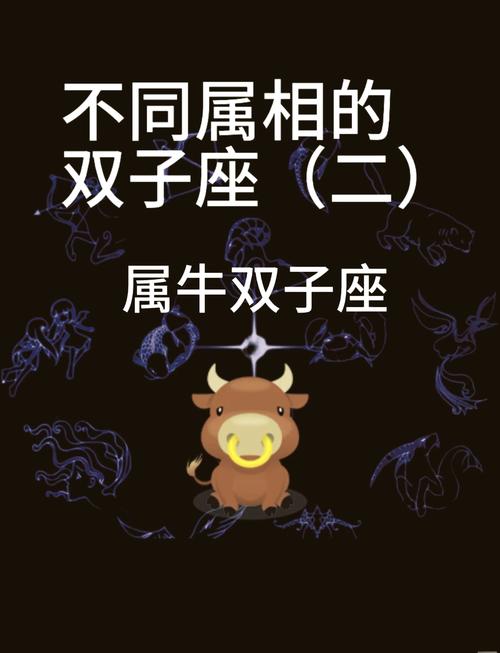 1985年出生属牛的双子座女性，今年射手座运势如何？