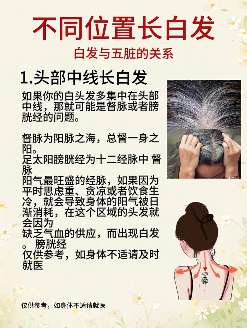 梦见白发老人是什么征兆？预示着好运还是不祥？