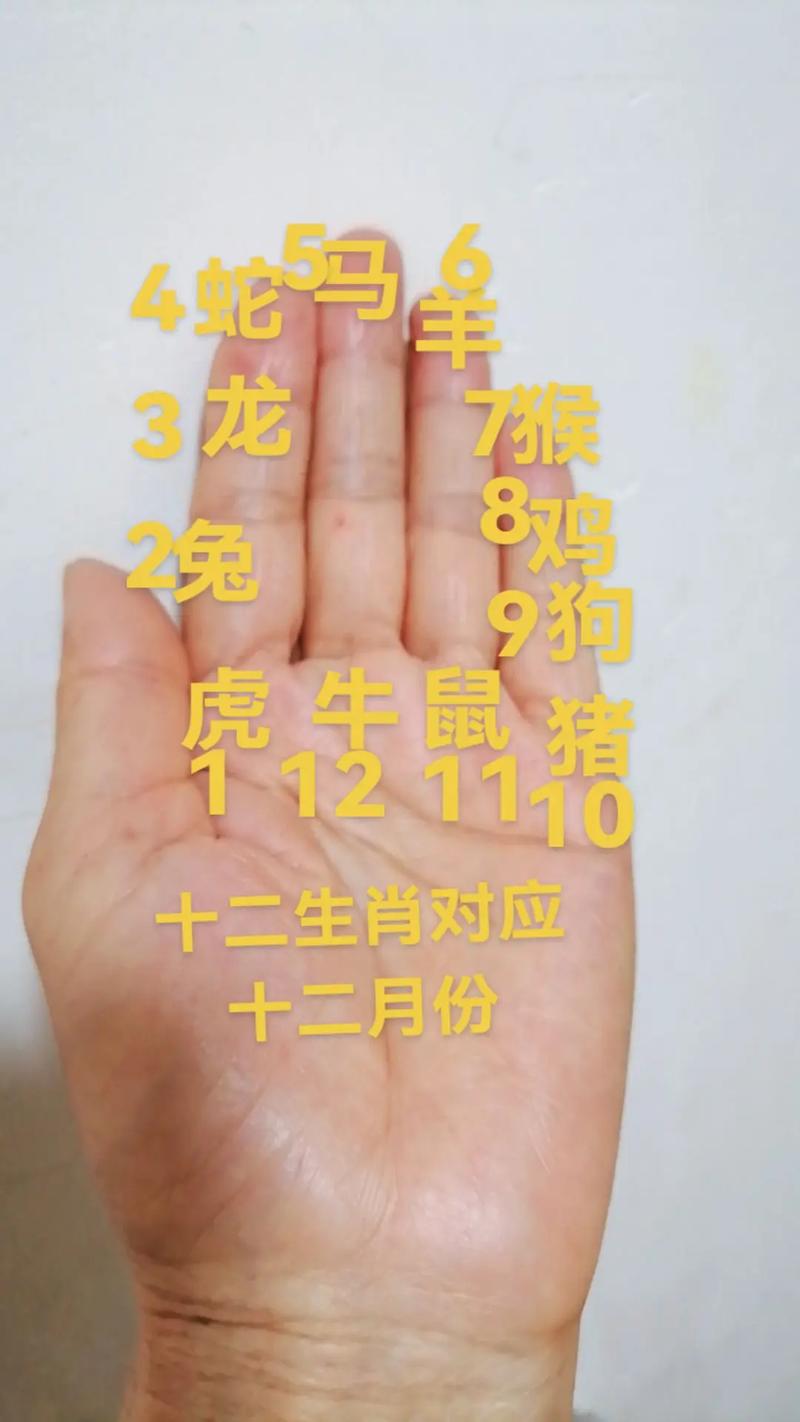 十二生肖手相运势详解大全中，十二生肖手相排名具体是什么含义？