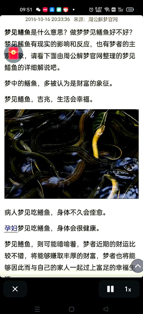 梦见抓黄鳝泥鳅究竟预示着什么吉凶，这梦境有何特殊含义？