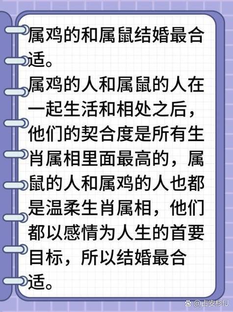 属鼠和属鸡的鸡宝宝婚姻会幸福长久吗？